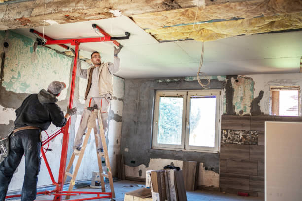 Best Insulation Maintenance and Repair in Ridge Manor, FL