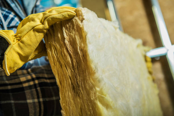 Best Commercial Insulation in Ridge Manor, FL