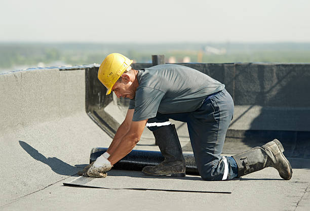 Best Insulation Maintenance and Repair in Ridge Manor, FL